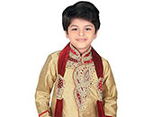 Հնդիկի հագուստ