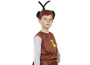 Մրջյունի հագուստ